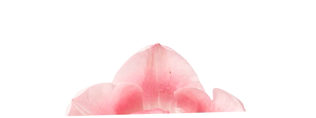 Flower 1